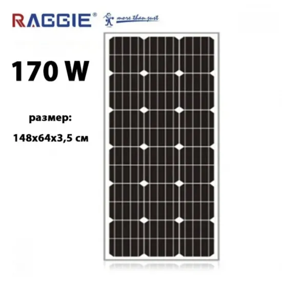 Монокристален соларен панел RAGGIE 170W