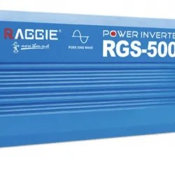 Соларен инвертор RAGGIE 3000W 12V/24V